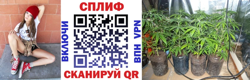 Сколько стоит Северск ГАШИШ  OMG ССЫЛКА  Метамфетамин  Меф мяу мяу  АМФЕТАМИН  Каннабис  КЕТАМИН 