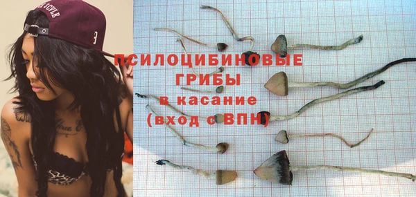 первитин Инсар