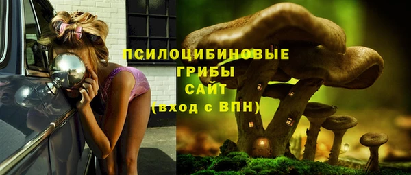 первитин Инсар