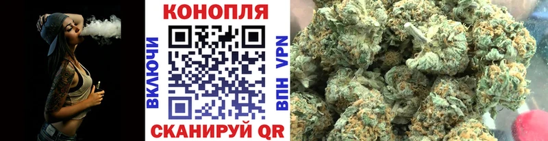 купить   Северск  Каннабис план 